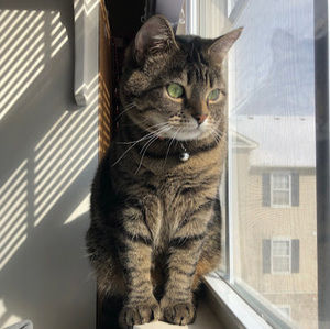 Meet your Posher, Alex